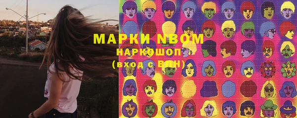 сатива Горнозаводск