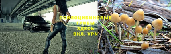 ешки Волосово