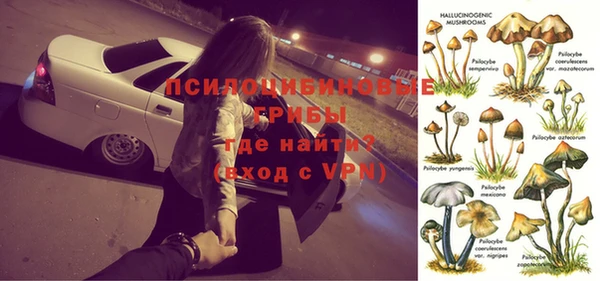 PSILOCYBIN Верхний Тагил