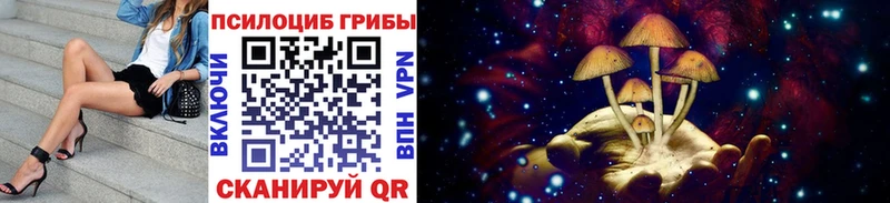 сколько стоит  Дно  Псилоцибиновые грибы мицелий 